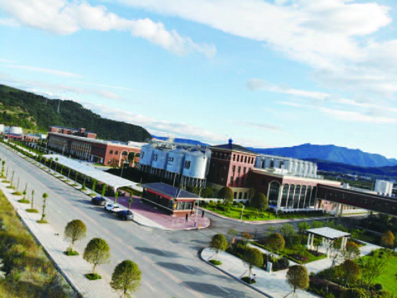 广元网站建设：助力企业数字化转型的利器